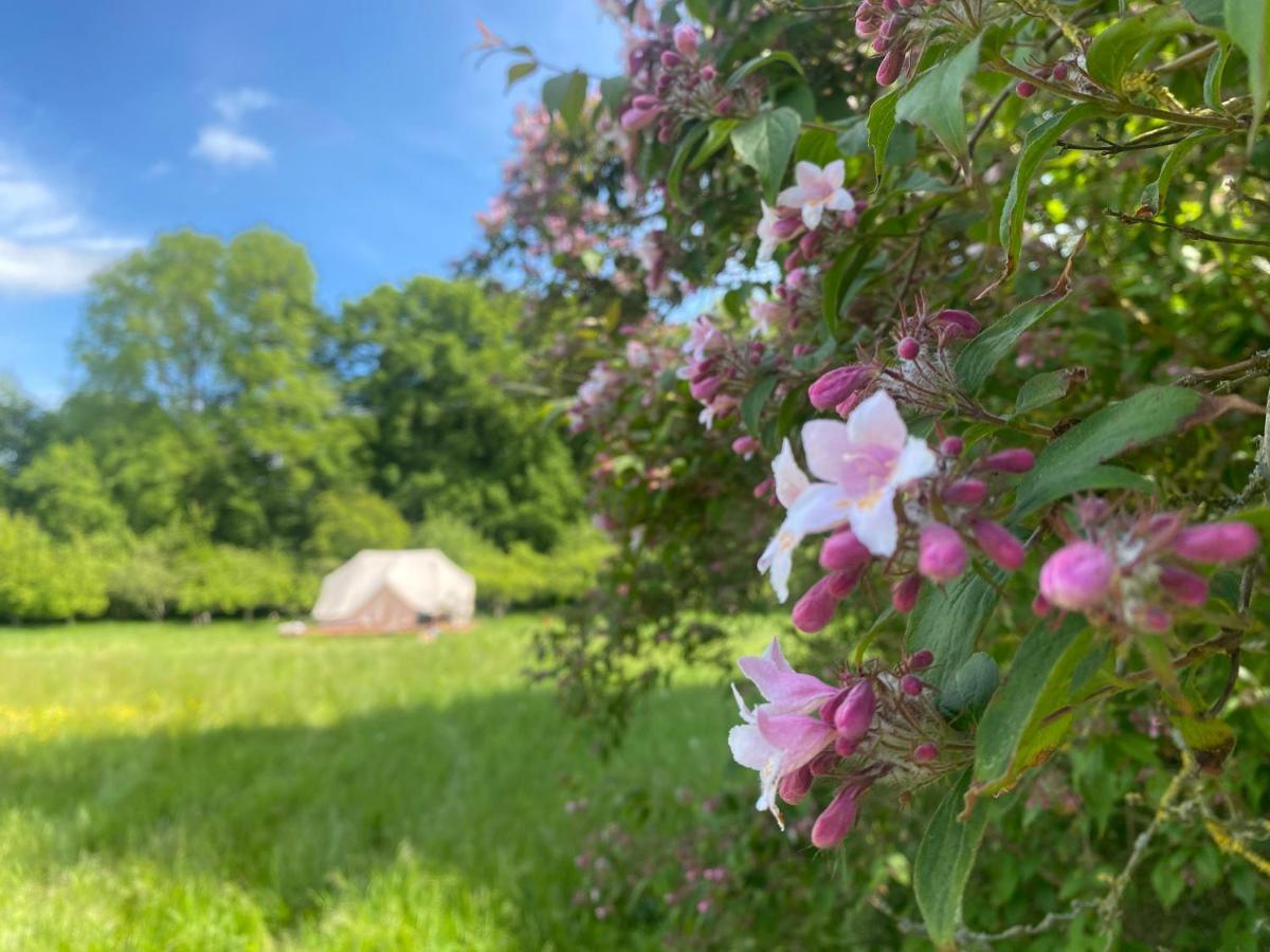 Green Glamping Sønderborg Exteriör bild