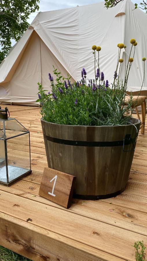 Green Glamping Sønderborg Exteriör bild